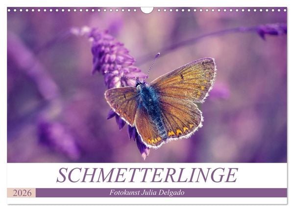 Produktbild: Schmetterlinge im Fokus (Wandkalender 2026 DIN A3 quer), CALVENDO Monatskalender