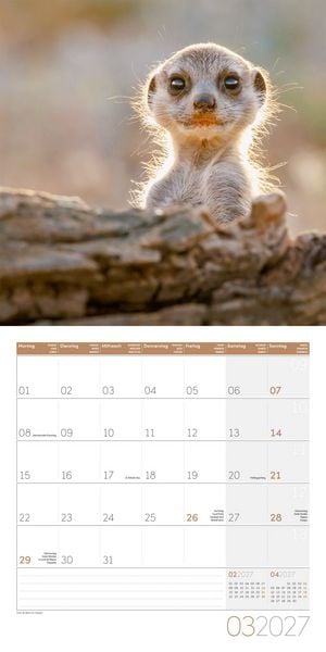 Produktbild: Erdm&auml;nnchen Kalender 2027 - 30x30 - Art12
