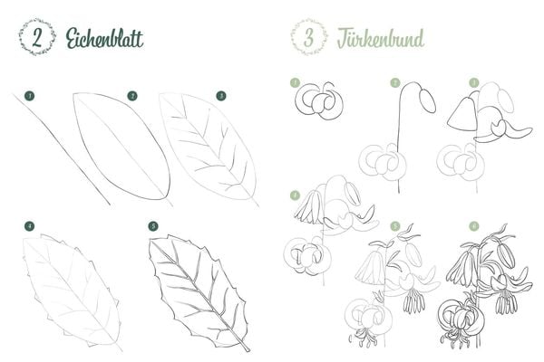 Produktbild: 300 Motive zeichnen &ndash; Botanik