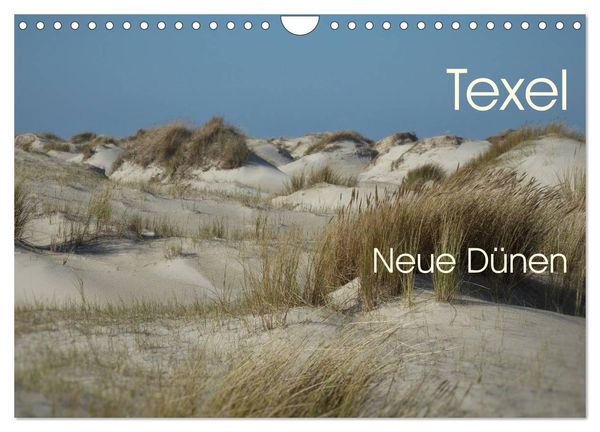 Texel. Neue Dünen (Wandkalender 2024 DIN A4 quer), CALVENDO Monatskalender