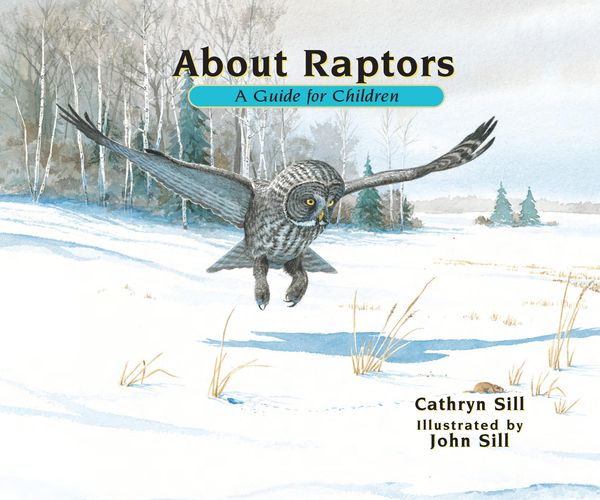Produktbild: About Raptors
