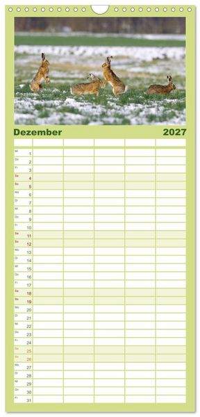 Produktbild: Familienplaner 2027 - Feldhasen in H&ouml;chstform mit 5 Spalten (Wandkalender, 21 x 45 cm) CALVENDO
