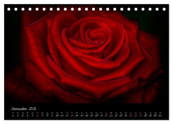 Produktbild: Serenade - Visuelle Musik der Blumen (Tischkalender 2026 DIN A5 quer), CALVENDO Monatskalender