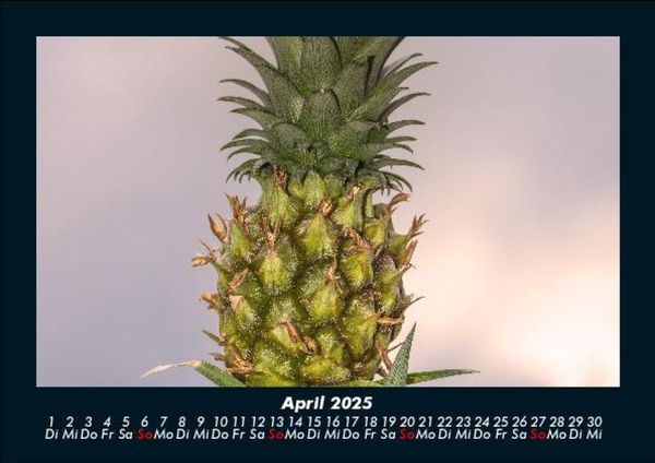 Produktbild: Obstkalender 2025 Fotokalender DIN A5