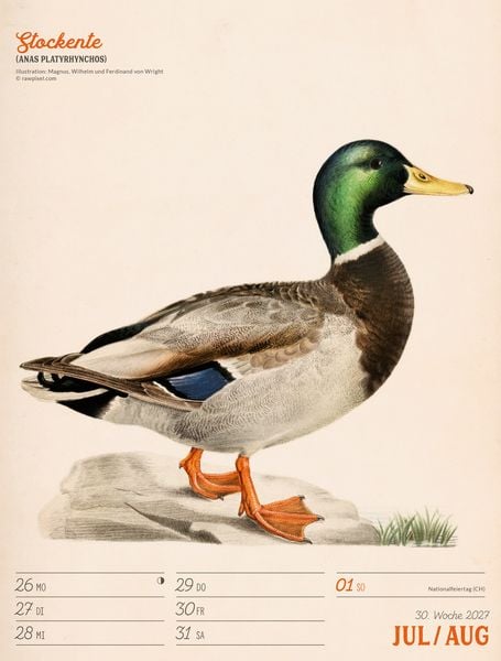 Produktbild: Wunderbare Vogelwelt Wochenplaner Kalender 2027