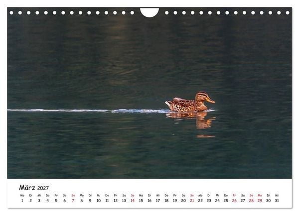 Produktbild: Wanderbarer Wei&szlig;ensee (Wandkalender 2027 DIN A4 quer), CALVENDO Monatskalender