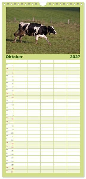 Produktbild: Familienplaner 2027 - Muuuhhh! mit 5 Spalten (Wandkalender, 21 x 45 cm) CALVENDO