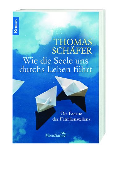 Produktbild: Wie die Seele uns durchs Leben f&uuml;hrt