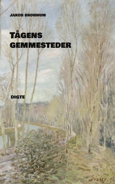 Produktbild: T&aring;gens gemmesteder