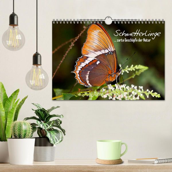 Produktbild: Schmetterlinge - zarte Gesch&ouml;pfe der Natur (Wandkalender 2026 DIN A4 quer), CALVENDO Monatskalender