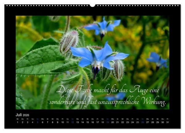 Produktbild: Goethes Blau. Gedanken zur Farbe (Wandkalender 2026 DIN A2 quer), CALVENDO Monatskalender