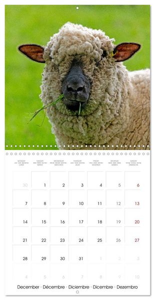 Produktbild: Stratford upon Avon - Shakespeare's Hometown (Wall Calendar 2026 12 &times; 12 Inch) CALVENDO 12 Month Wall Calendar