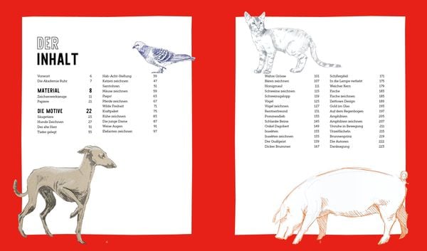 Produktbild: Tiere zeichnen &ndash; Das XXL-Starter-Set: Zwei B&uuml;cher im Bundle