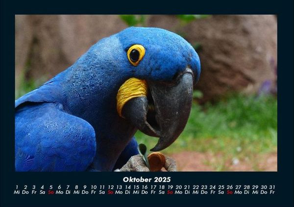 Produktbild: Vogelparadies 2025 Fotokalender DIN A4