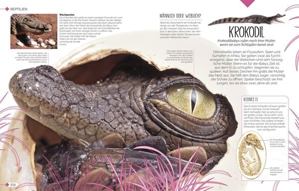 Produktbild: Tierkinder der Wildnis