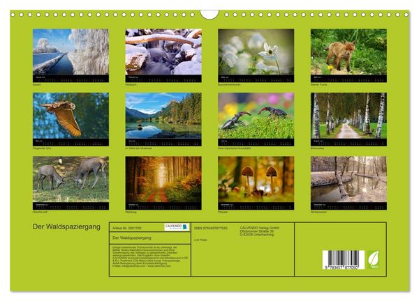 Produktbild: Der Waldspaziergang (Wandkalender 2026 DIN A3 quer), CALVENDO Monatskalender