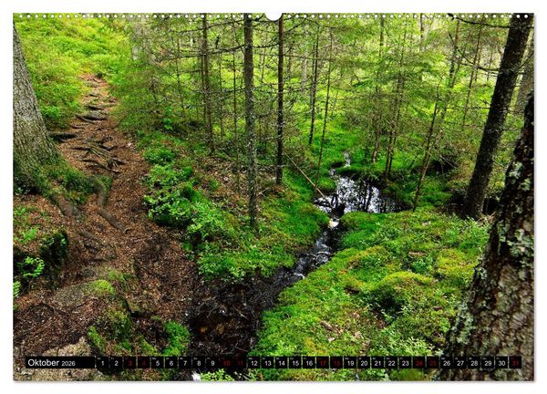 Produktbild: Tiveden, der NatURWALD in Schweden (hochwertiger Premium Wandkalender 2026 DIN A2 quer), Kunstdruck in Hochglanz