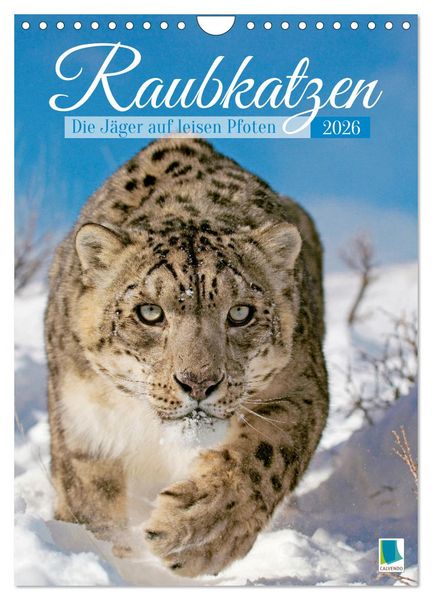 Produktbild: Raubkatzen: Die J&auml;ger auf leisen Pfoten (Wandkalender 2026 DIN A4 hoch), CALVENDO Monatskalender
