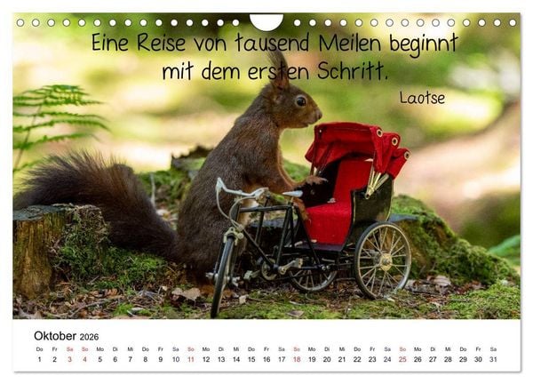 Produktbild: Der literarische Eichh&ouml;rnchen-Kalender (Wandkalender 2026 DIN A4 quer), CALVENDO Monatskalender