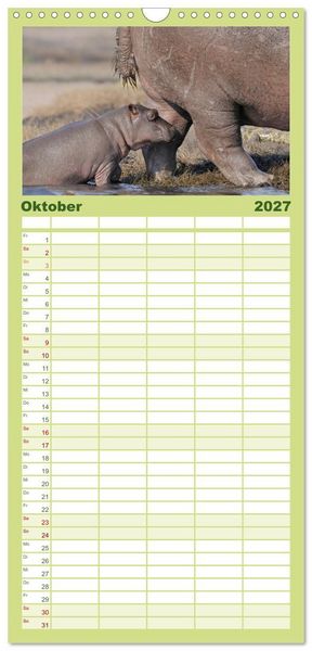 Produktbild: Familienplaner 2027 - Flusspferde Magie des Augenblicks - Hippos in Afrika mit 5 Spalten (Wandkalender, 21 x 45 cm) CALVENDO