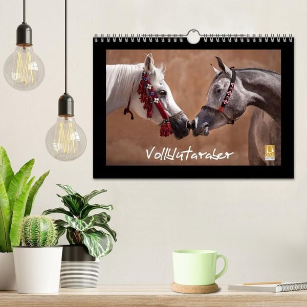 Produktbild: Vollblutaraber (Wandkalender 2026 DIN A4 quer), CALVENDO Monatskalender