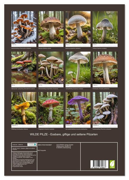 Produktbild: WILDE PILZE - Essbare, giftige und seltene Pilzarten (hochwertiger Premium Wandkalender 2026 DIN A2 hoch), Kunstdruck in Hochglanz