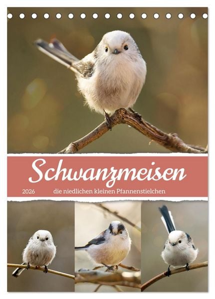 Produktbild: Schwanzmeisen, die niedlichen kleinen Pfannenstielchen (Tischkalender 2026 DIN A5 hoch), CALVENDO Monatskalender