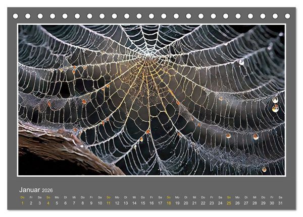Produktbild: Strukturvisionen (Tischkalender 2026 DIN A5 quer), CALVENDO Monatskalender