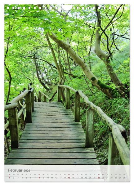 Produktbild: Im Nationalpark Jasmund - Naturwunder auf der Ostseeinsel R&uuml;gen (Wandkalender 2026 DIN A4 hoch), CALVENDO Monatskalender