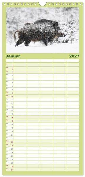 Produktbild: Familienplaner 2027 - Wildschweine &ndash; Wildlife Fotografien mit 5 Spalten (Wandkalender, 21 x 45 cm) CALVENDO