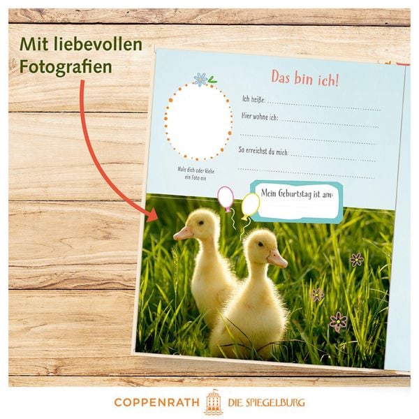 Produktbild: Freundebuch &ndash; Alle meine Freunde