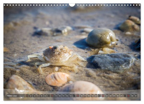 Produktbild: Hooksiel im Friesland (Wandkalender 2026 DIN A3 quer), CALVENDO Monatskalender