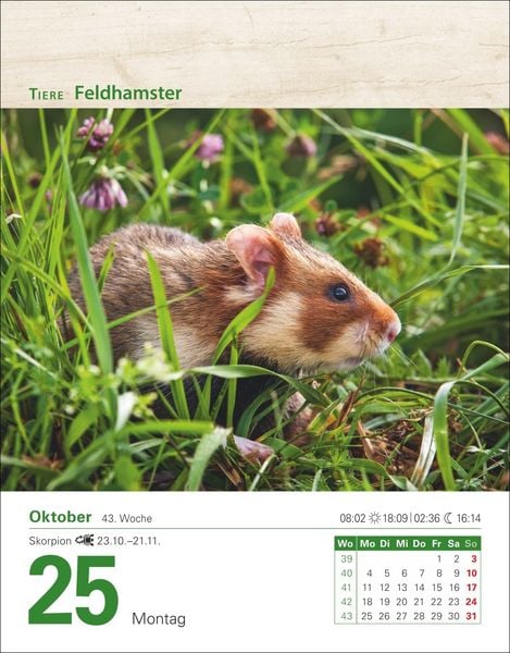 Produktbild: Mein Garten Tagesabrei&szlig;kalender 2027 - Praktische Tipps f&uuml;r 2027