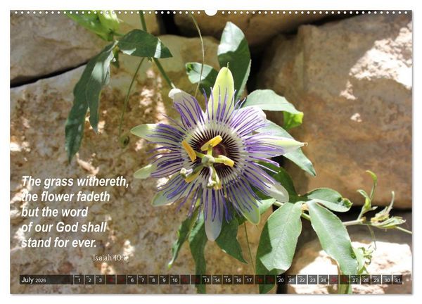 Produktbild: ISRAEL (High Quality Premium Wall Calendar 2026 DIN A2 landscape),CALVENDO 12 Month Wall Calendar