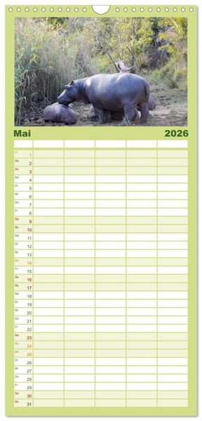 Produktbild: Familienplaner 2026 - Nilpferde, Kolosse im Wasser mit 5 Spalten (Wandkalender, 21 x 45 cm) CALVENDO