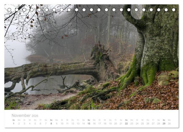 Produktbild: Zauberhafte Schlei (Tischkalender 2026 DIN A5 quer), CALVENDO Monatskalender