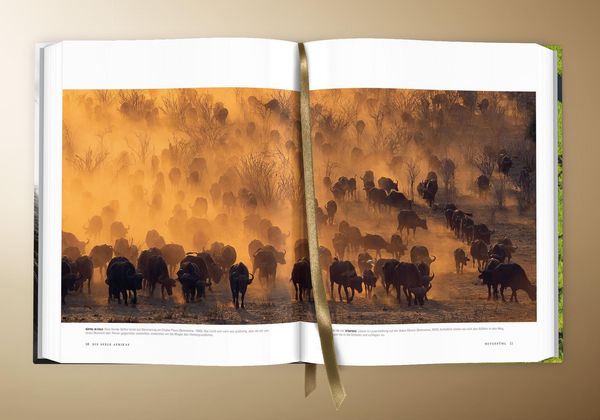 Produktbild: Die Seele Afrikas