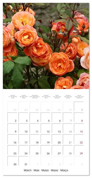 Produktbild: LE PARFUM ENVO&Ucirc;TANT DES ROSES (Calendrier mural carr&eacute; 2026 30x30 cm) Calendrier double avec une page pour vos prises de notes