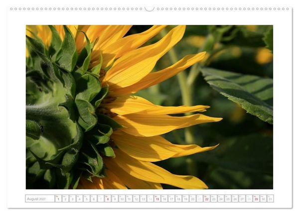 Produktbild: Sonnentage 2027 (hochwertiger Premium Wandkalender 2027 DIN A2 quer), Kunstdruck in Hochglanz
