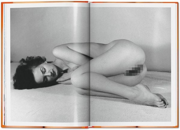 Produktbild: The Little Big Book of Pussy
