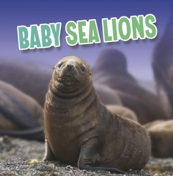 Produktbild: Baby Sea Lions
