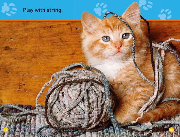Produktbild: National Geographic Kids: Play, Kitty!