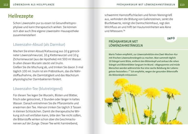 Produktbild: L&ouml;wenzahn - Wunderkraut f&uuml;r Resilienz und Lebenskraft. Kompakt-Ratgeber