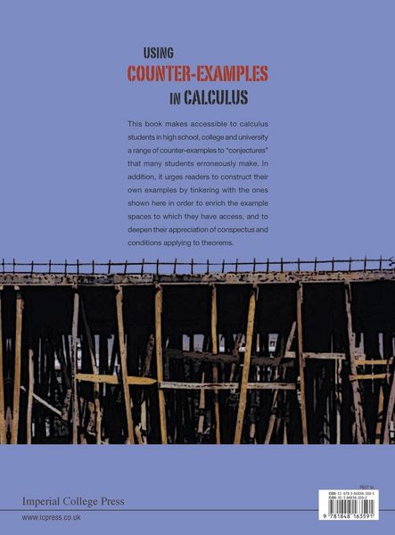 Produktbild: Using Counter-Examples in Calculus
