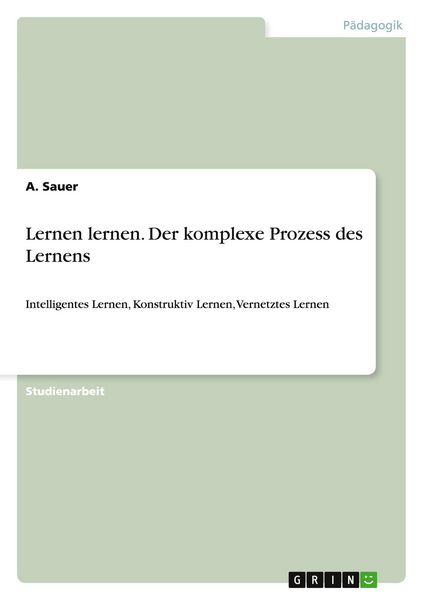 Lernen lernen. Der komplexe Prozess des Lernens, Taschenbuch von A. Sauer, GRIN, 9783656935506