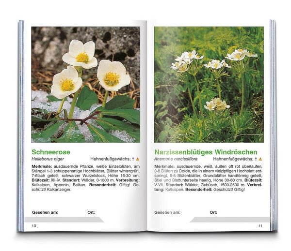 Produktbild: Alpenblumen