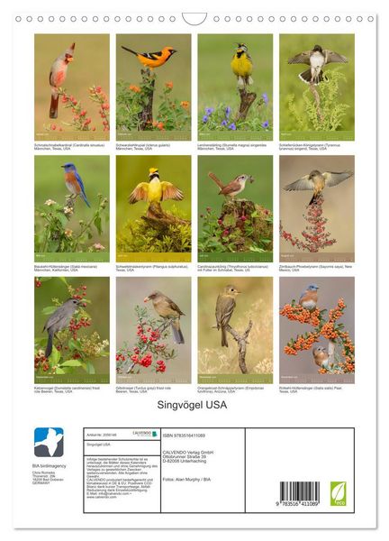 Produktbild: Singv&ouml;gel USA (Wandkalender 2026 DIN A3 hoch), CALVENDO Monatskalender