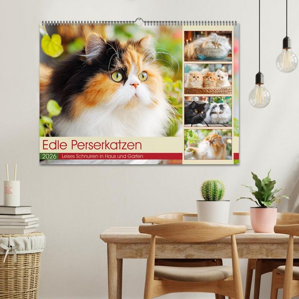Produktbild: Edle Perserkatzen. Leises Schnurren in Haus und Garten (Wandkalender 2026 DIN A2 quer), CALVENDO Monatskalender