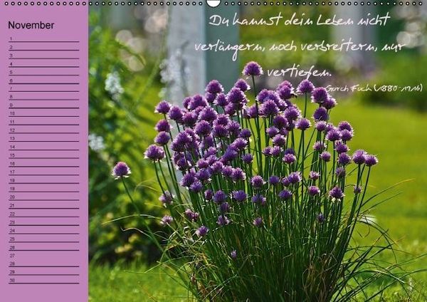 Produktbild: Vergiss mein nicht Geburtstagskalender (Wandkalender immerw&auml;hrend DIN A2 quer)