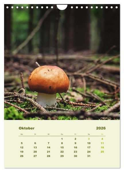 Produktbild: Wundersame Welt der Pilze (Wandkalender 2026 DIN A4 hoch), CALVENDO Monatskalender